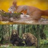 Фотопастка Suntek HC-804A Full HD 1080P 120 ° 16MP IP66 (53601)