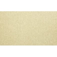 Шпалери Bravo вінілові на флізеліновій основі 81215BR47 (1,06х10,05м.)