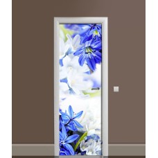 Наклейка на двері Zatarga 