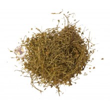 Очанка (лікарська трава) Карпати 50 гр