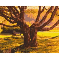 Картина за номерами Art Craft Старійшина парку 40*50 см Різнокольоровий 10528-AC Картина за номерами Art Craft Старійшина парку 40*50 см Різнокольоровий 10528-AC