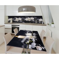 Наклейка вінілова на стіл Zatarga  