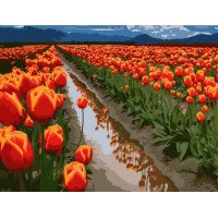 Картина за номерами Art Craft Поля в Голландії 40*50 см Різнокольоровий (10524-AC) Картина за номерами Art Craft Поля в Голландії 40*50 см Різнокольоровий (10524-AC)