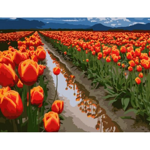 Картина за номерами Art Craft Поля в Голландії 40*50 см Різнокольоровий (10524-AC) Картина за номерами Art Craft Поля в Голландії 40*50 см Різнокольоровий (10524-AC)