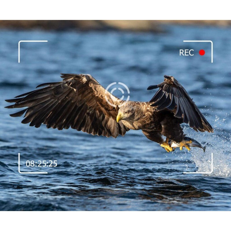 Фотопастка Suntek HC-950 PRO LIG LTE 8000 мАг 4К 120° 2х30MP IP65 (59390)