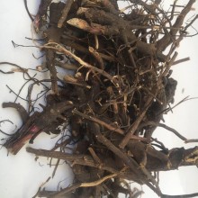 Ехінацея пурпурна (коріння) Карпаты 50 г