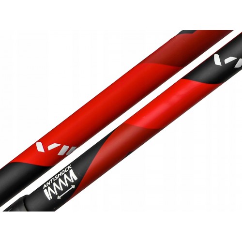 Палки для скандинавської ходьби Viking Kube Pro (VI-KUBE-34) Палки для скандинавської ходьби Viking Kube Pro (VI-KUBE-34)