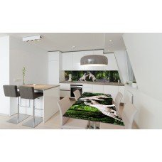 Наклейка вінілова на стіл Zatarga «Білі тигри» 650х1200 мм Z180388/1st