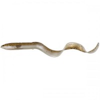 Силікон Savage Gear 3D Real Eel Loose Body 150mm 12.0g #20 Сірий/Бежевий (1013-1854.03.26) Силікон Savage Gear 3D Real Eel Loose Body 150mm 12.0g #20 Сірий/Бежевий (1013-1854.03.26)