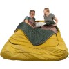 Спальник Kelty Tru Comfort Doublewide 20 Yellow (1012-35417123-DWOOL)