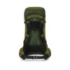 Рюкзак Osprey Atmos AG LT 60 л S/M Scenic Valley/Green Peppercorn (1054-009.3278)