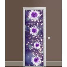 Наклейка на двері Zatarga 