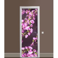 Наклейка на двері Zatarga 