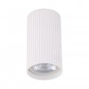 Точковий світильник TK Lighting Tune Білий (TK10023)