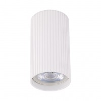 Точковий світильник TK Lighting Tune Білий (TK10023)