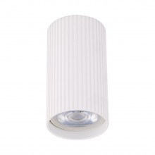 Точковий світильник TK Lighting Tune Білий (TK10023)
