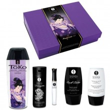 Подарунковий набір Shunga Naughtier Kit SX0587
