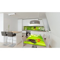 Наклейка вінілова на стіл Zatarga «Метелик 02» 600х1200 мм Z180312st