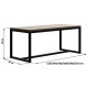 Обідній стіл у стилі Loft NS-1151 830x1400x900 мм Черный