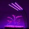 Фітолампа світлодіодна для рослин Plant GrowLight-3 із таймером чорна