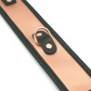 Нашийник з повідцем Liebe Seele Rose Gold Memory Collar with Leash в інтернет супермаркеті PbayMarket!