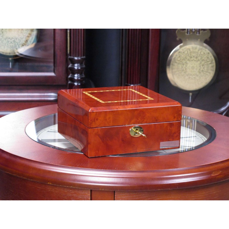 Скринька для зберігання годинників Salvadore Коричневий 803-6DBC