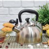 Чайник зі свистком A-PLUS 1373 2 л Steel