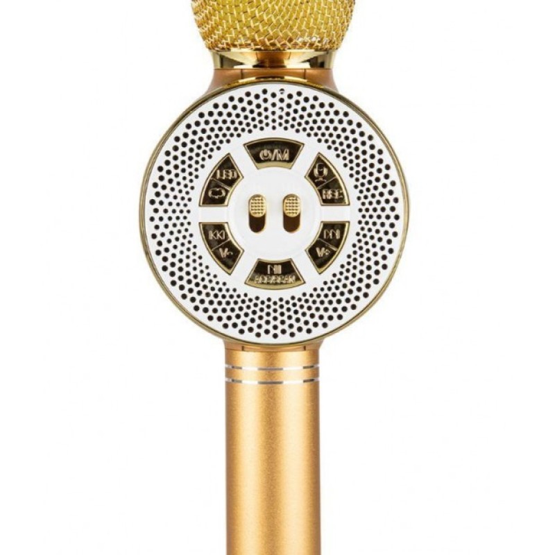 Дитячий мікрофон Wster з функцією караоке USB, microSD, AUX, Bluetooth WS 669 Золотий