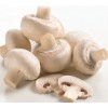 Грибна коробка Білого печериця Готовий набір для вирощування грибів Сімейний 30 х 30 см 5 кг (hub_ntgv91671) в інтернет супермаркеті PbayMarket!