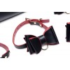 Набір для BDSM Master Series Bow - Luxury BDSM Set With Travel Bag