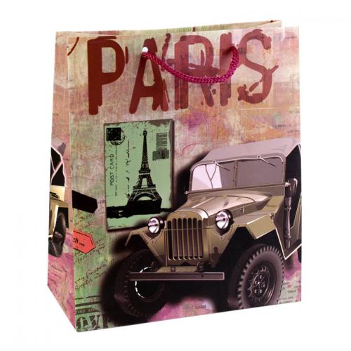 Сумочка подарункова паперова з ручками Gift bag Paris 21х18х8.5 см (19374) в інтернет супермаркеті PbayMarket!