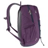 Рюкзак Deuter Gogo 25 л Plum (1052-3813221 5334)