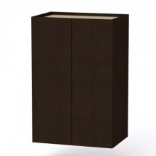 Тумба навісна-1 МГ-6 Компаніт Венге комбі (60х40х90 см)