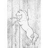 Альбом для малювання А3 Brunnen обкладинка Ponylove 100 г/м2 20 аркушів (1047913742) в інтернет супермаркеті PbayMarket!