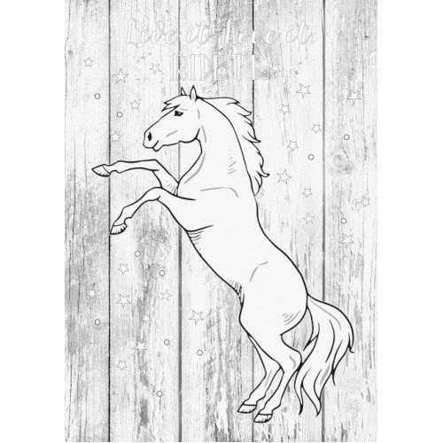 Альбом для малювання А3 Brunnen обкладинка Ponylove 100 г/м2 20 аркушів (1047913742) в інтернет супермаркеті PbayMarket! Альбом для малювання А3 Brunnen обкладинка Ponylove 100 г/м2 20 аркушів (1047913742) в інтернет супермаркеті PbayMarket!