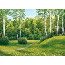 Фотошпалери Ніка Шелест берез 210х290