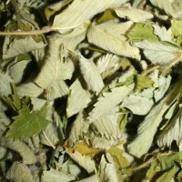 Суниця лісова (лист) Карпати 50 гр