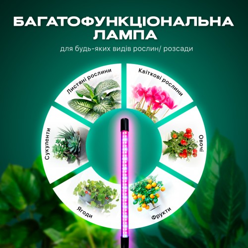 Фітолампа світлодіодна (LED) для рослин регулювання яскравості та кольору пульт таймер гнучка IP54 (FL-01) Фітолампа світлодіодна (LED) для рослин регулювання яскравості та кольору пульт таймер гнучка IP54 (FL-01)