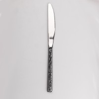 Набір TS Kitchen столових ножів 6 штук з нержавіючої сталі хром (HP96922)