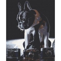 Картина за номерами Art Craft Сором'язливий фотограф 40х50 см 11642-AC Картина за номерами Art Craft Сором'язливий фотограф 40х50 см 11642-AC