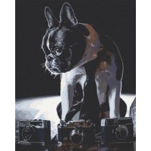 Картина за номерами Art Craft Сором'язливий фотограф 40х50 см 11642-AC