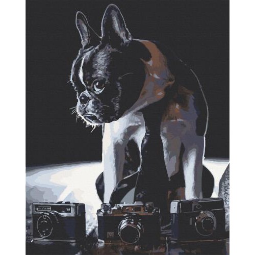 Картина за номерами Art Craft Сором'язливий фотограф 40х50 см 11642-AC Картина за номерами Art Craft Сором'язливий фотограф 40х50 см 11642-AC