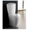 Унітаз RAK Ceramics Venice ABS Soft Close Delux RAK0040 Білий