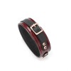 Нашийник з повідцем Liebe Seele Wine Red Collar and Leash в інтернет супермаркеті PbayMarket!