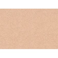 Шпалери Lanita вінілові на флізеліновій основі ФОЕ-1011-4 абрикосовий цв.фл.(1,06х10,05м.)