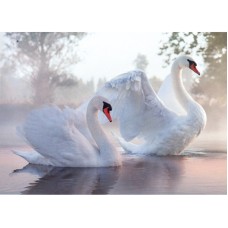 Фотошпалери Prestige №27 272х196 8аркушів