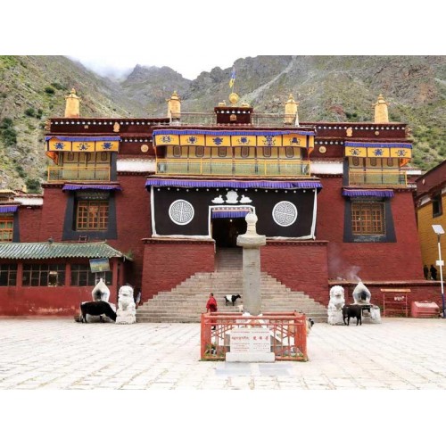 Пахощі Тибетські TS Лотос Подарунок Кармапи Дьюсум Кхенпа Монастир Цхурпу Tsurphu 27х2х2 см (078801) в інтернет супермаркеті PbayMarket!