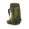 Рюкзак Osprey Atmos AG LT 60 л S/M Scenic Valley/Green Peppercorn (1054-009.3278)
