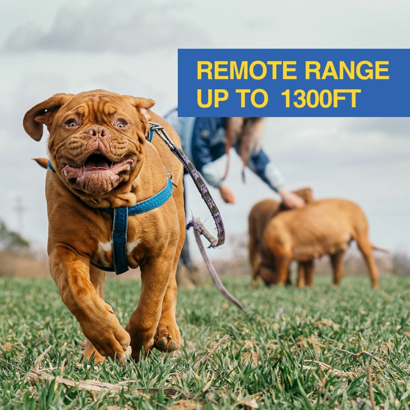 Електронний нашийник для середніх собак дресирувальний з трьома видами впливу DOBE DB900S, чорний