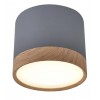 Точковий світильник Candellux Tuba Сірий (2275925)